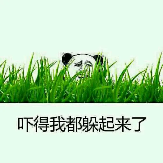 吓得我都躲起来了