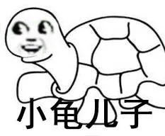 小龟儿子