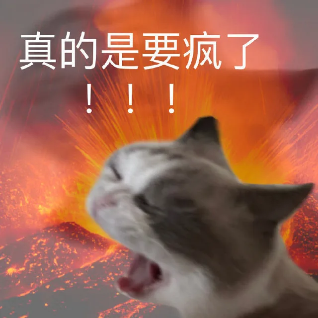 真的是要疯了A!!（真的是要疯了A!!）