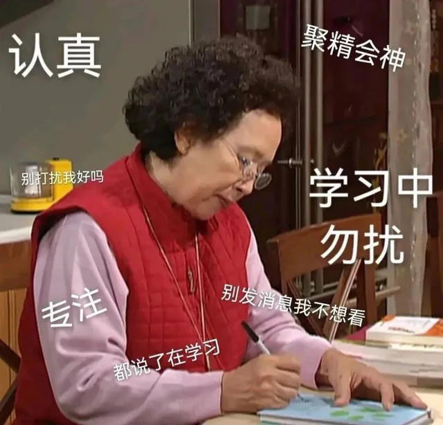 认真聚精会神别打扰我好吗学习中勿扰专注别发消息我不想看都说了在学习（认真聚精会神别打扰我好吗学习中勿扰专注别发消息我不想看都说了在学习）