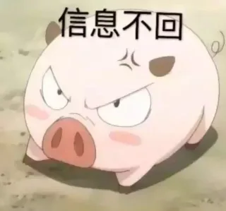 信息不回