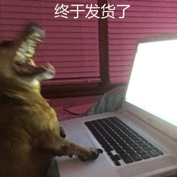 终于发货了（终于发货了）