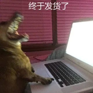 终于发货了
