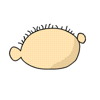 呲牙