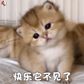 快乐它不见了