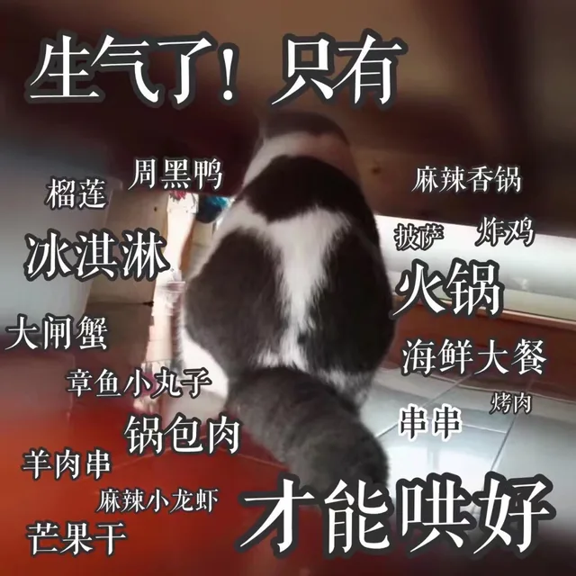 生气了!只有榴莲,周黑鸭麻辣香锅冰淇淋披萨炸鸡火锅大闸蟹海鲜大餐章鱼小丸子串串烤肉锅包肉羊肉串麻辣小龙虾芒果干才能哄好（生气了!只有榴莲,周黑鸭麻辣香锅冰淇淋披萨炸鸡火锅大闸蟹海鲜大餐章鱼小丸子串串烤肉锅包肉羊肉串麻辣小龙虾芒果干才能哄好）