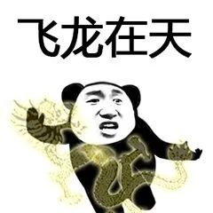 飞龙在天