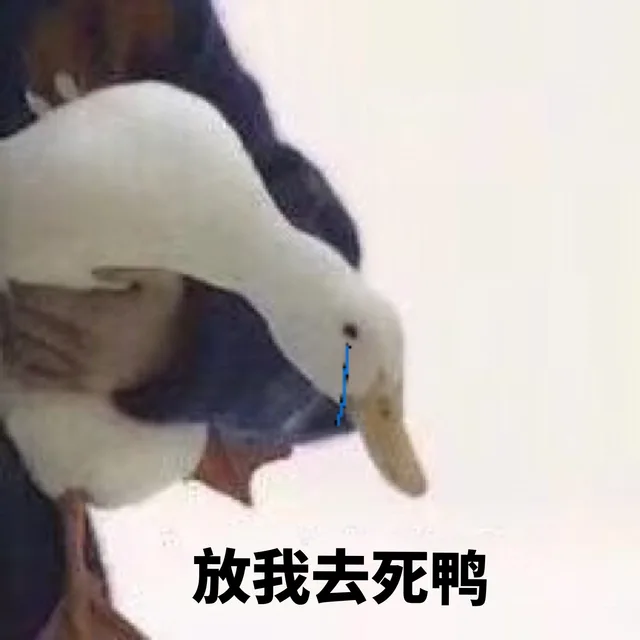 放我去死鸭（放我去死鸭）