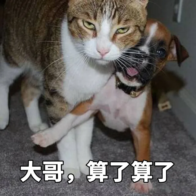大哥，算了算了