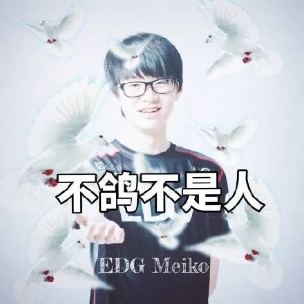 不鸽不是人FIG Meiko