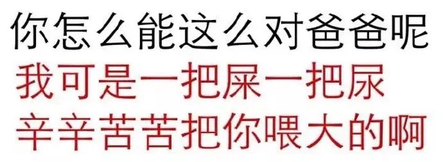 你怎么能这么对爸爸呢？我可是一把屎一把尿，辛辛苦苦把你喂大的啊