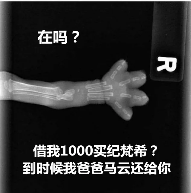 在吗借我1000买纪梵希?到时候我爸爸马云还给你
