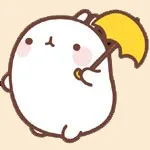 打伞