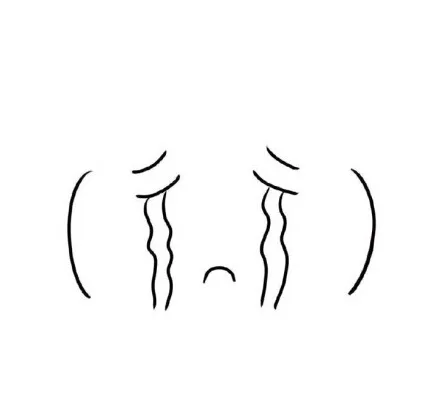 哭了
