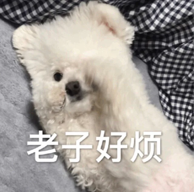 老子好烦（老子好烦）