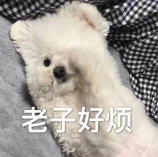 老子好烦