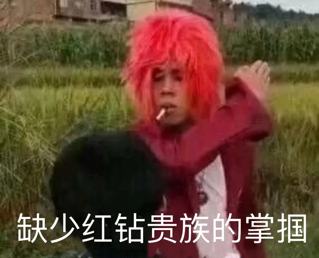 缺少红钻贵族的掌掴（杀马特）