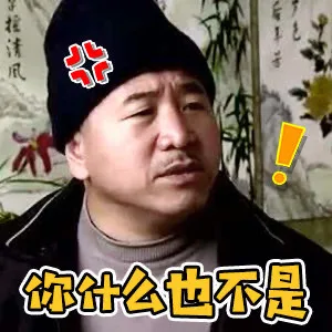 你什么也不是（刘能表情包）