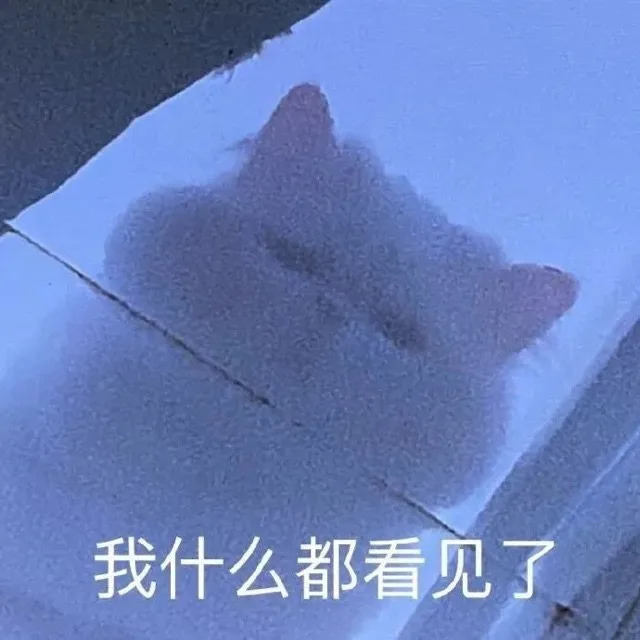 我什么都看见了（我什么都看见了）