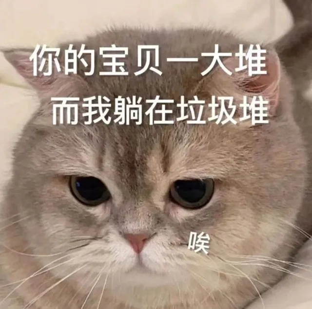 你的宝贝一大堆而我躺在垃圾堆唉（你的宝贝一大堆而我躺在垃圾堆唉）