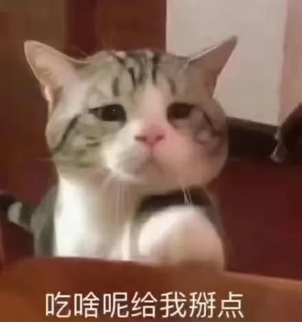 吃啥呢给我掰点（吃啥呢给我掰点）