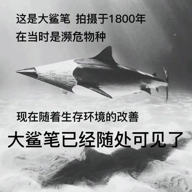 这是大鲨笔拍摄于1800年在当时是濒危物种现在随着生存环境的改善大鲨笔已经随处可见了（这是大鲨笔拍摄于1800年在当时是濒危物种现在随着生存环境的改善大鲨笔已经随处可见了）