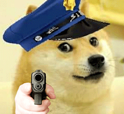 神烦柴犬