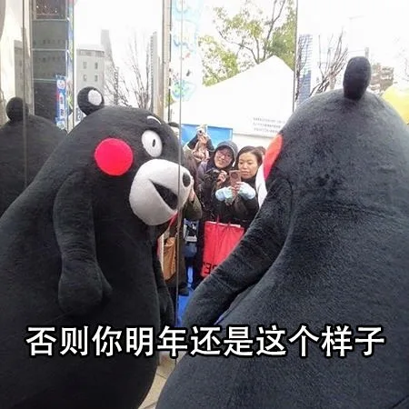 否则你明年还是这个样子（否则你明年还是这个样子）