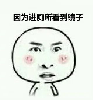 因为进厕所看到镜子（因为进厕所看到镜子）