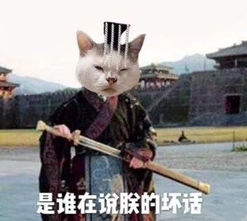 是谁在谊朕的坏话（是谁在谊朕的坏话）
