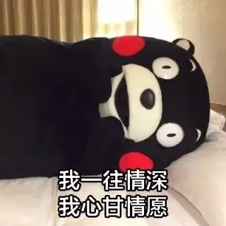 我一往情深，我心甘情愿