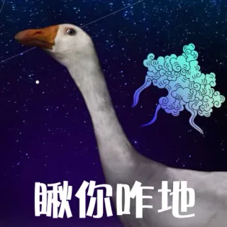 鹅鹅鹅_动图_搞笑表情包