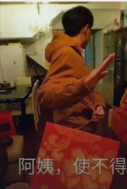 阿姨使不得