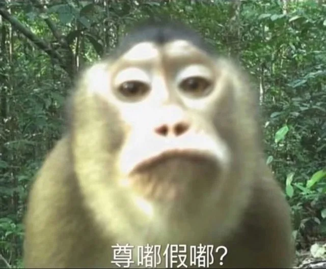 尊嘟假嘟？（尊嘟假嘟？）