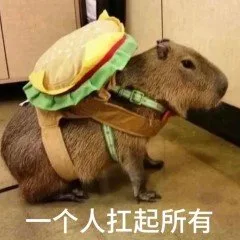 一个人扛起所有(水豚表情包)（一个人扛起所有(水豚表情包)）