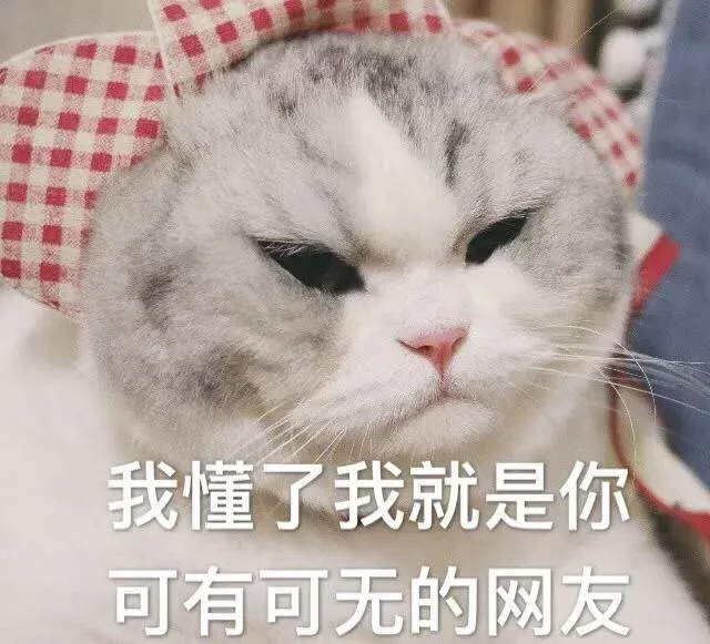 我懂了我就是你可有可无的网友（猫咪表情包）