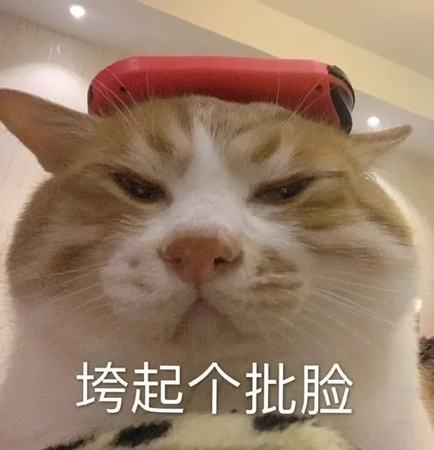 垮起个批脸(猫咪表情包)