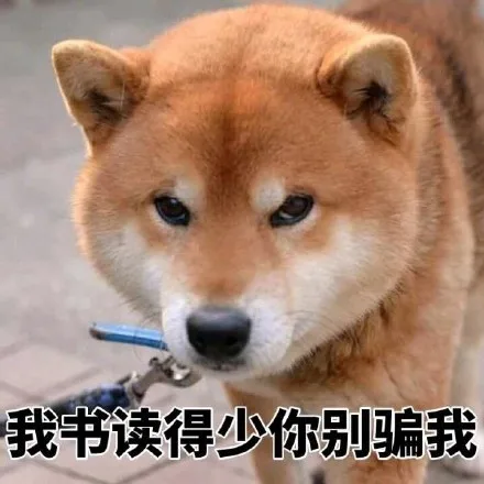 我书读得少你别骗我（我书读得少你别骗我）