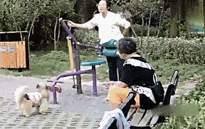 硬核老年生活 _gif