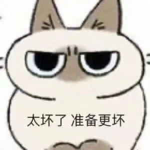 太坏了准备更坏