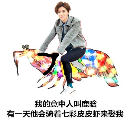 我的意中人叫鹿晗，有一天他会骑着七彩皮皮虾来娶我