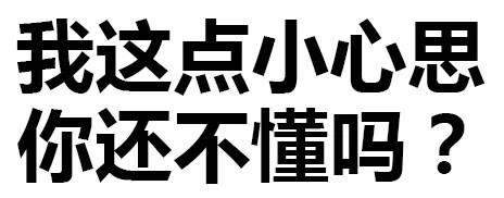 我这点小心思你还不懂吗？