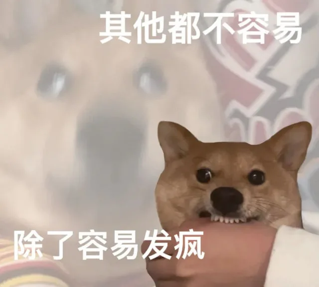其他都不容易除了容易发疯（其他都不容易除了容易发疯）