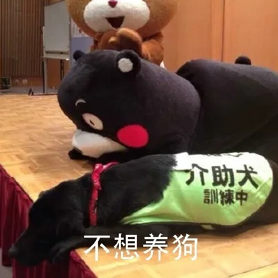 不想养狗（不想养狗）
