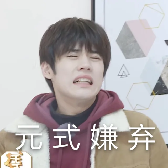 元式嫌弃（元式嫌弃）