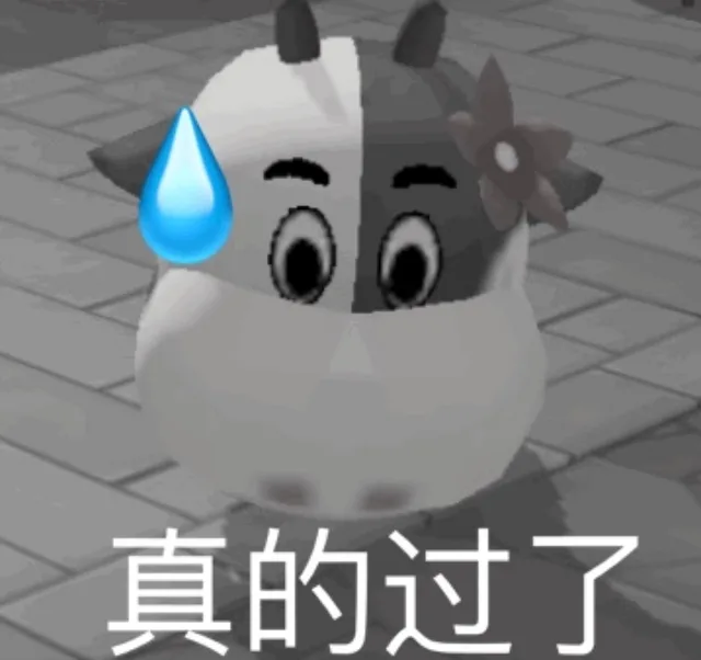 真的过了