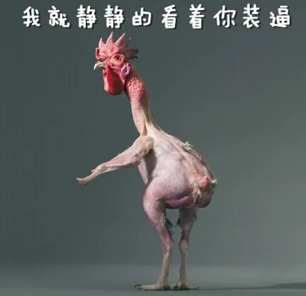 我就静静的看着你装逼（我就静静的看着你装逼）