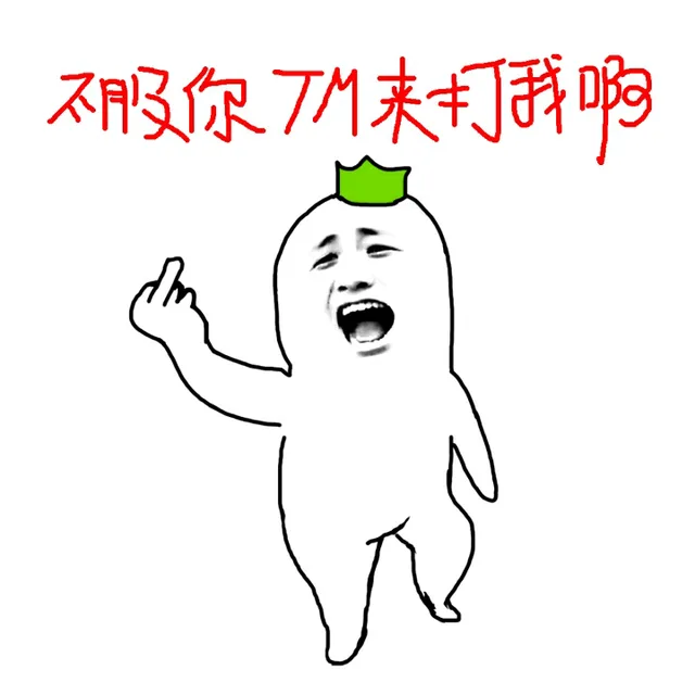 不服你TM来打我啊