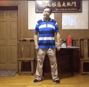 马保国打拳GIF 动图