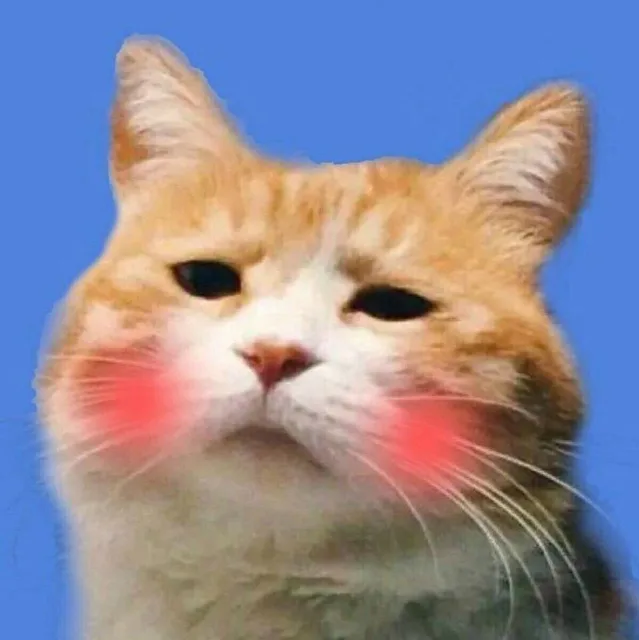 一组猫狗情侣头像 _猫_狗_情侣头像